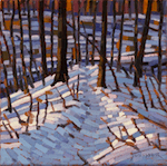 Study for White Woods